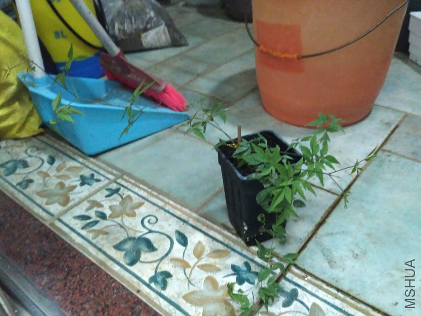 QQͼƬ20161011194847.jpg