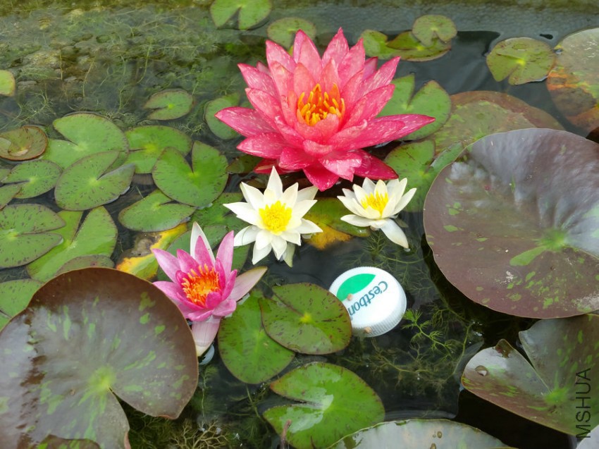 20160618_130924.jpg