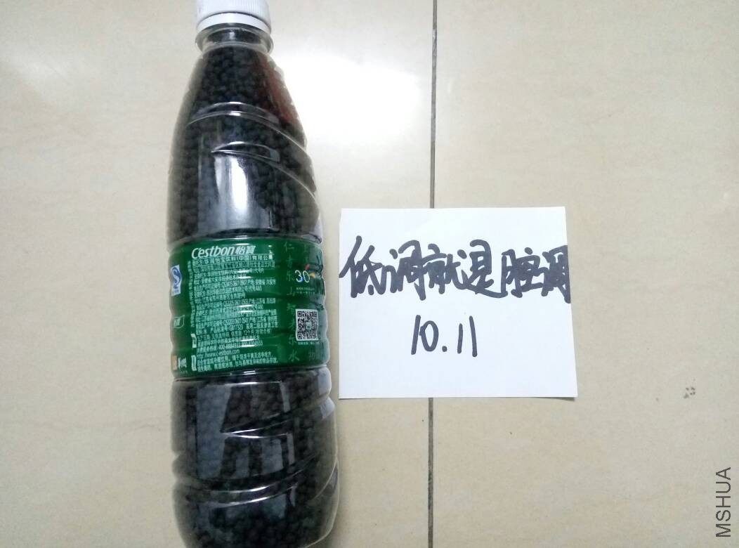 220317xmj78mlfwfssnh7n.jpg