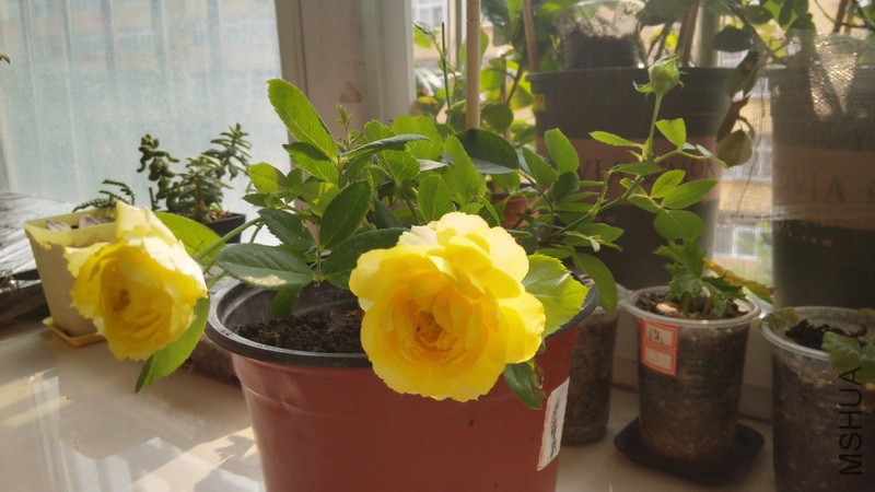 20161011_17.jpg
