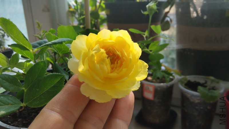 20161011_18.jpg