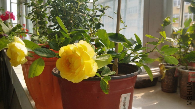 20161011_19.jpg
