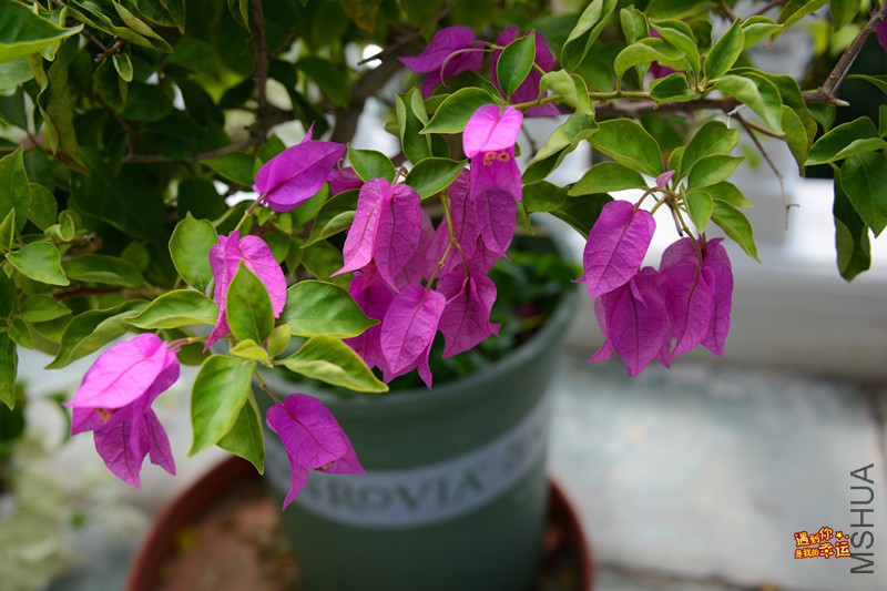 ��Ƭ 086_����.jpg