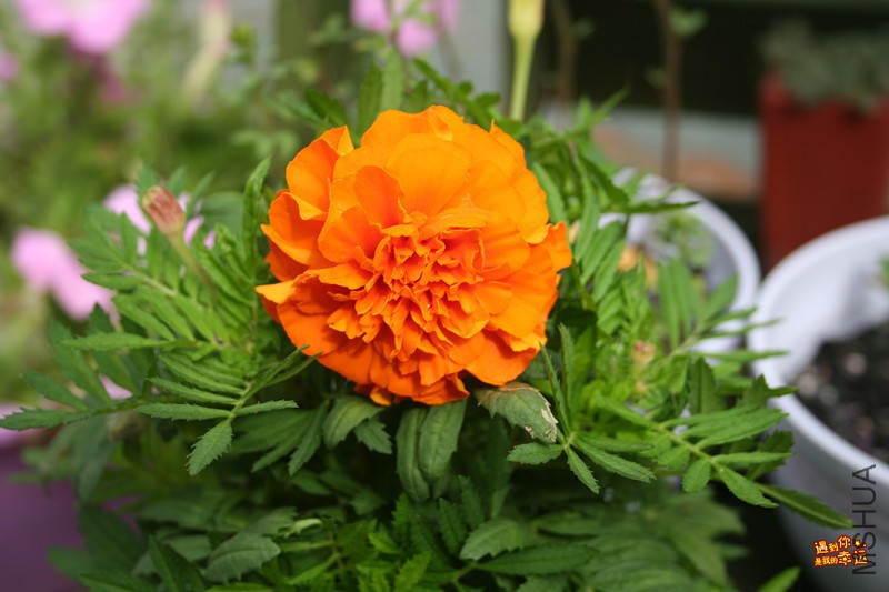 ��Ƭ 069_����.jpg