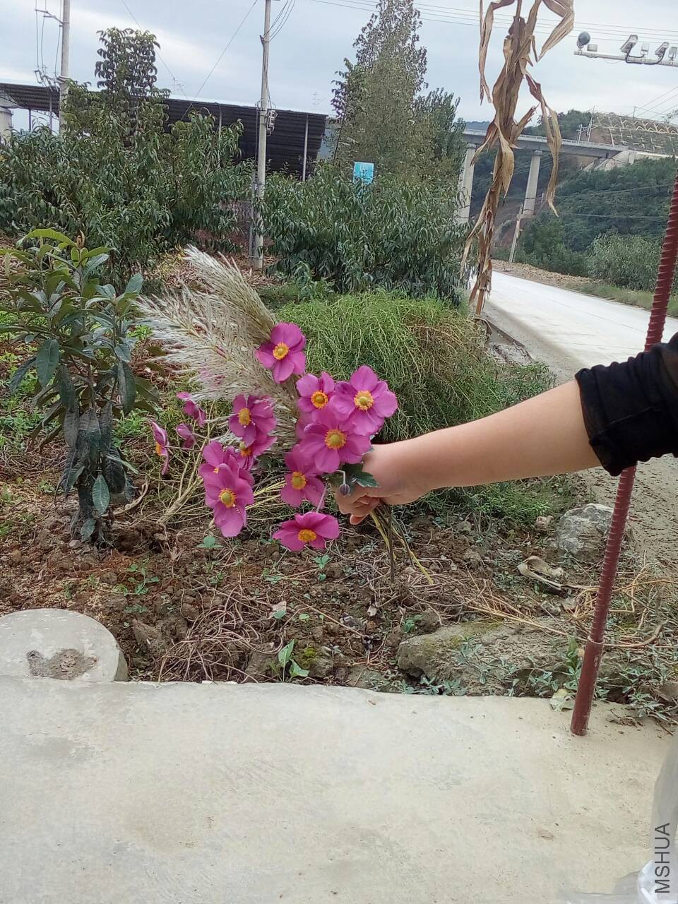 090421t9p9497rhnncpjpr.jpg