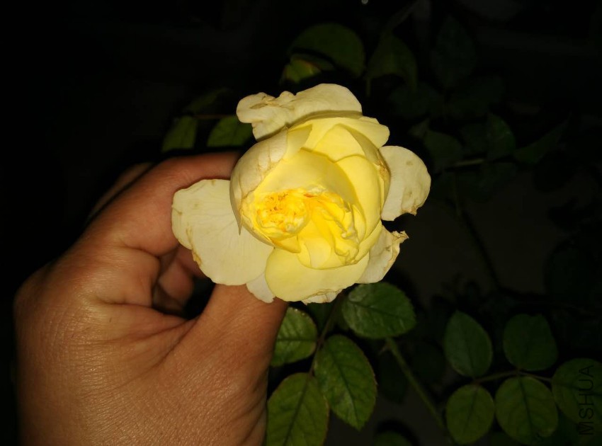 ��Ʒ����