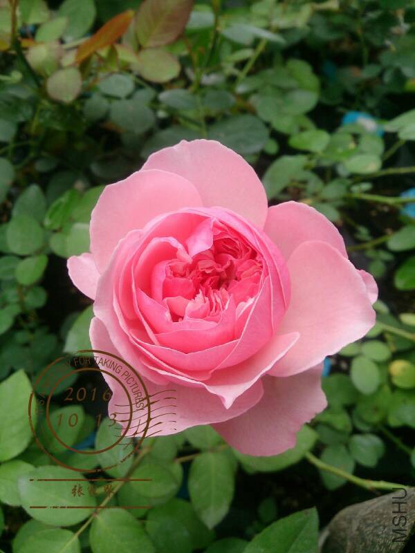 130528uxih0zddx1lizlif.jpg