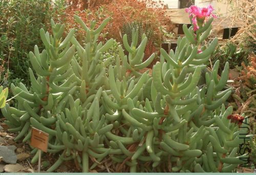 $(KGrHqRHJ!4FIVDLYN 8BSJw5Df9hg~~60_12.jpg