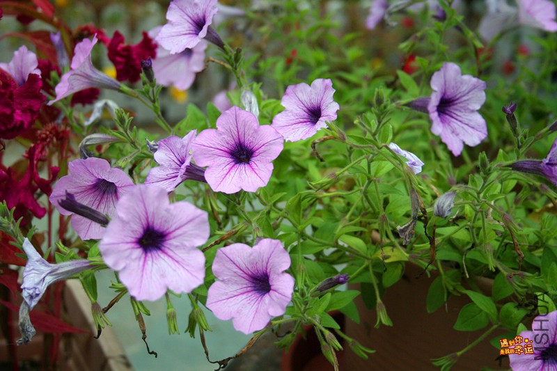 ��Ƭ 022_����.jpg