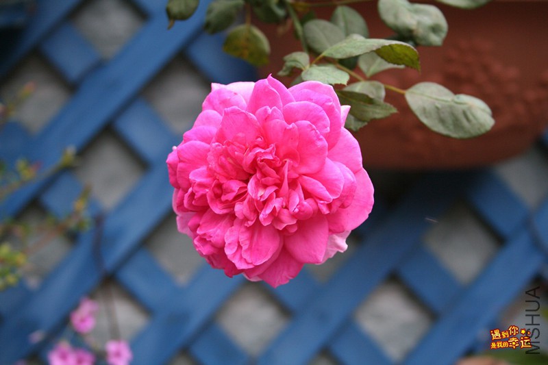 ��Ƭ 018_����.jpg