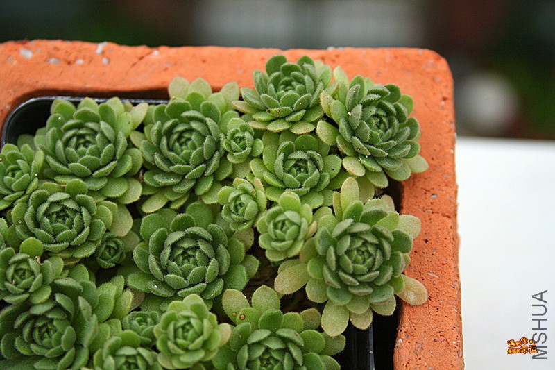 ��Ƭ 077_����.jpg