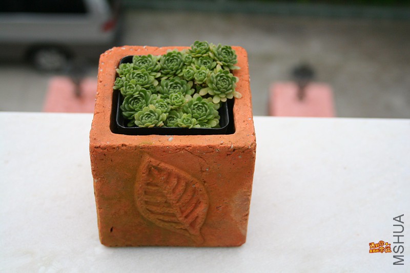 ��Ƭ 074_����.jpg