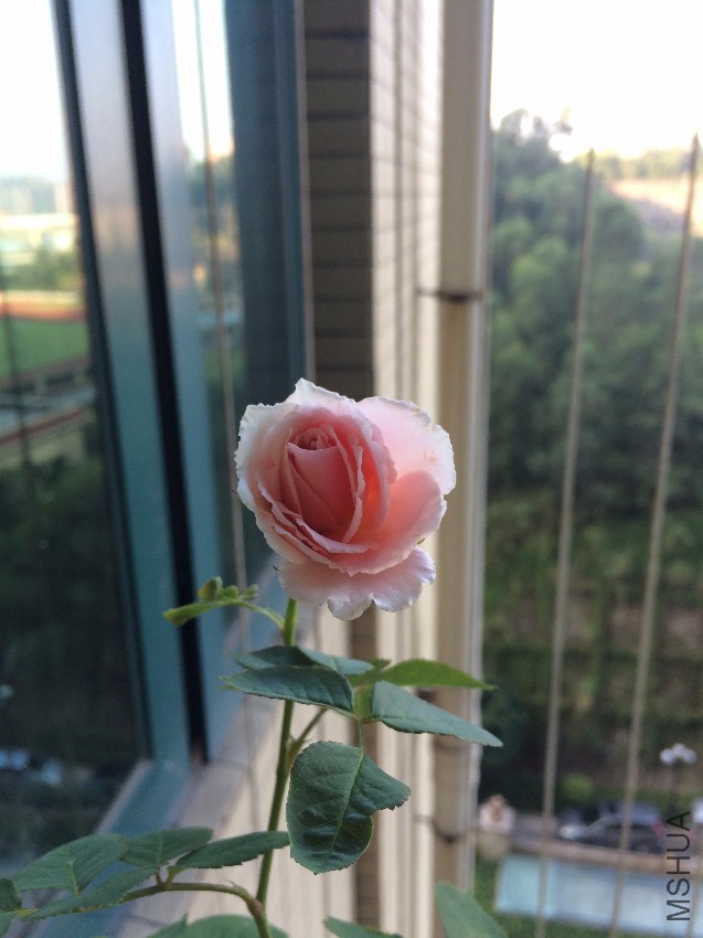 ��һ�ο���