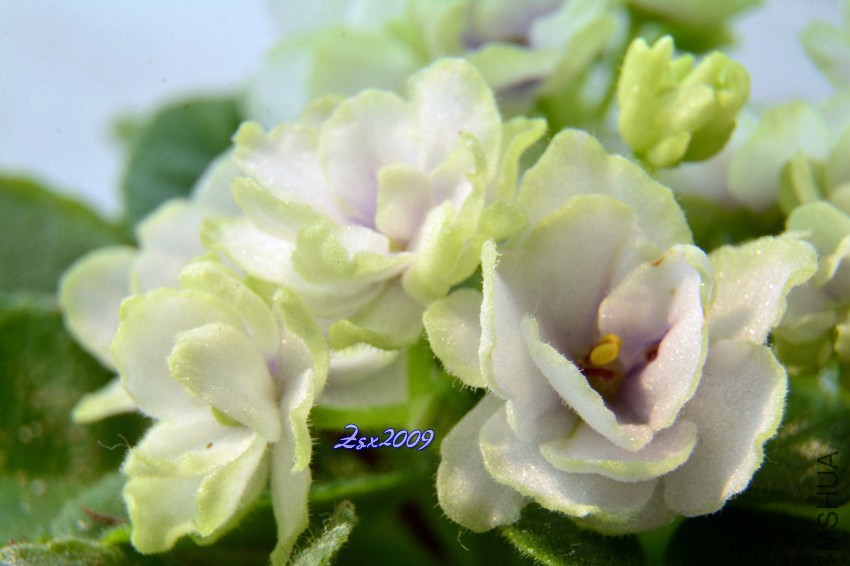 DSC_1214.JPG