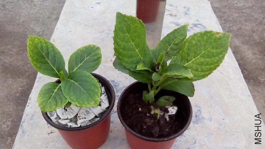 ���� ��ˮ��.jpg