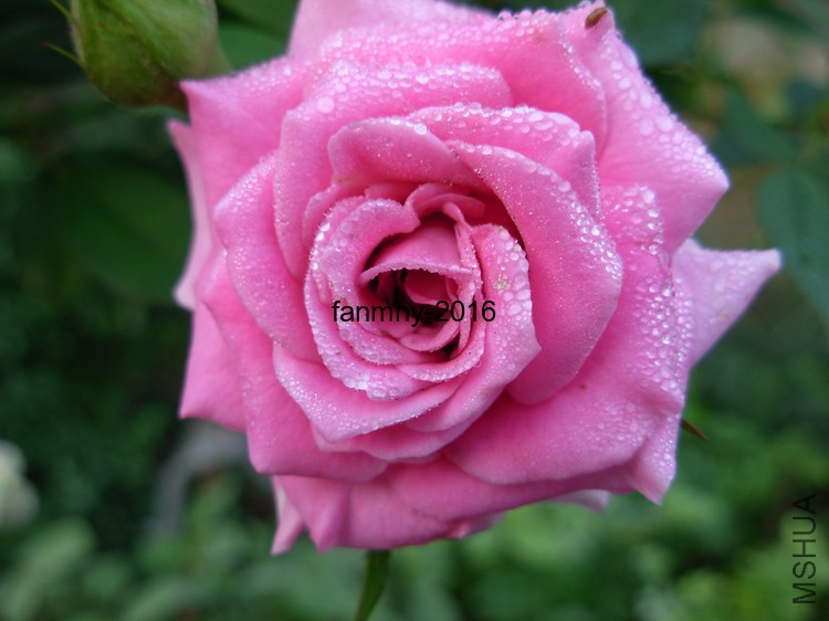DSCN0020.JPG
