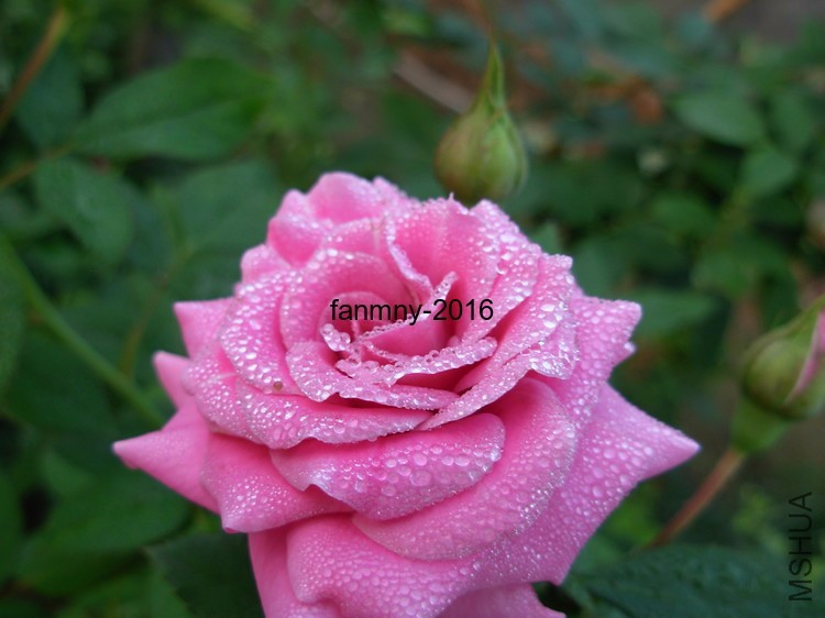 DSCN0021.JPG
