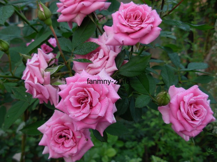 DSCN0022.JPG