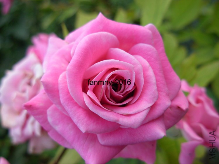 DSCN0036.JPG