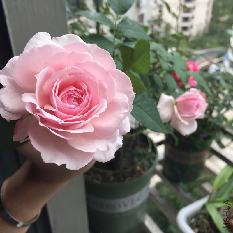 150321ca0exoma4ma4uchh.jpg