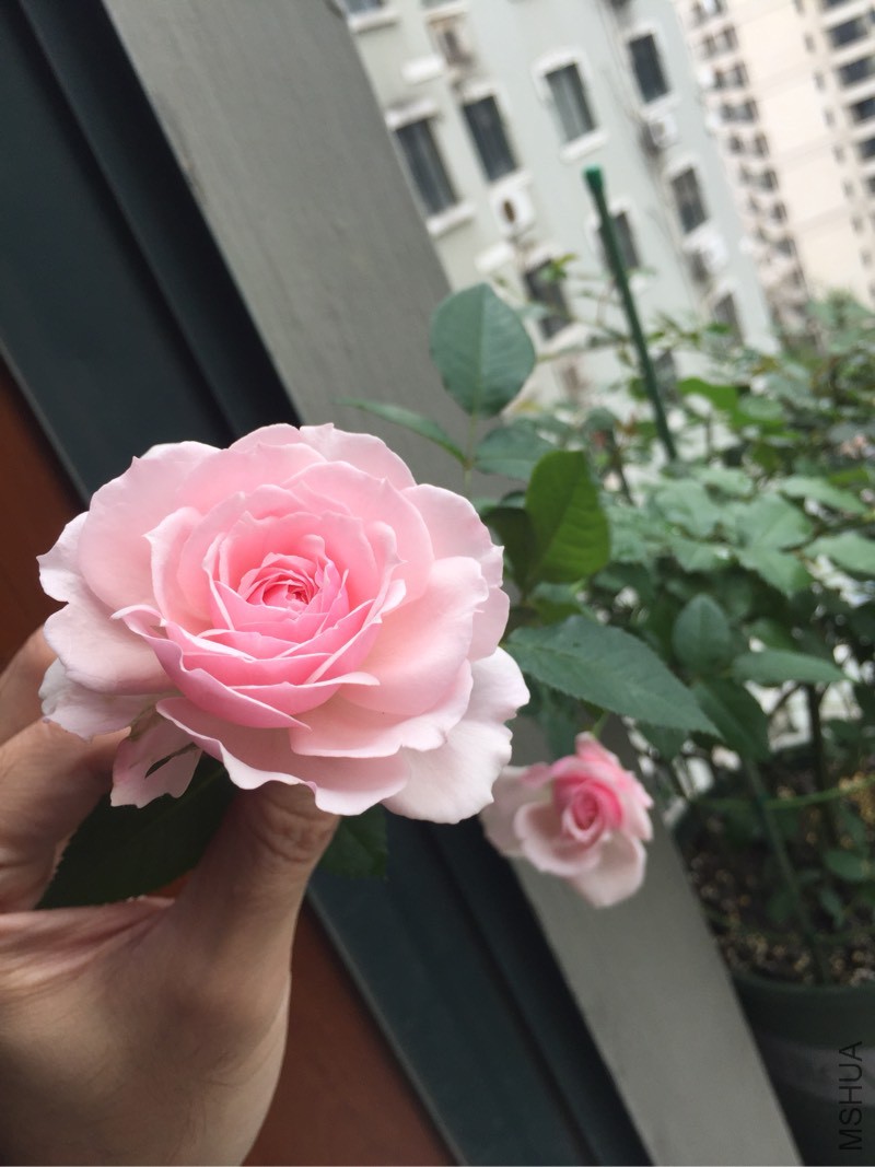150322em1q6rv7zkutfv1f.jpg
