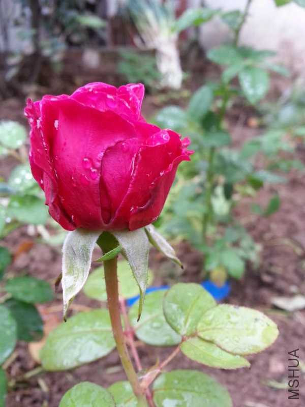 20161015_151349.jpg