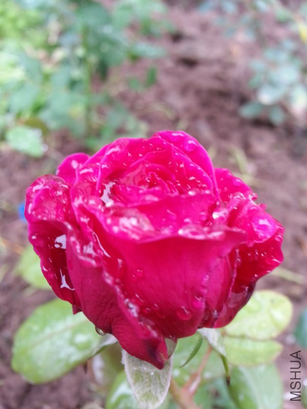 20161015_151237.jpg