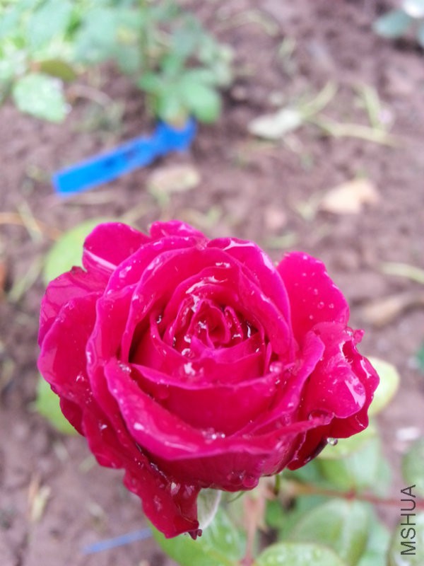 20161015_151308.jpg