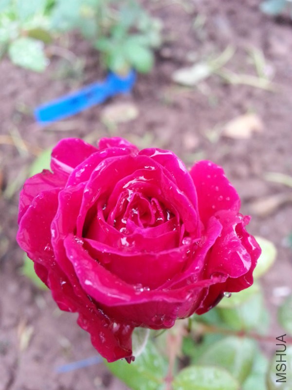 20161015_151311.jpg