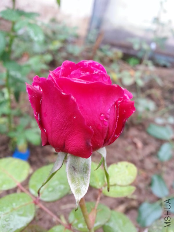 20161015_151322.jpg