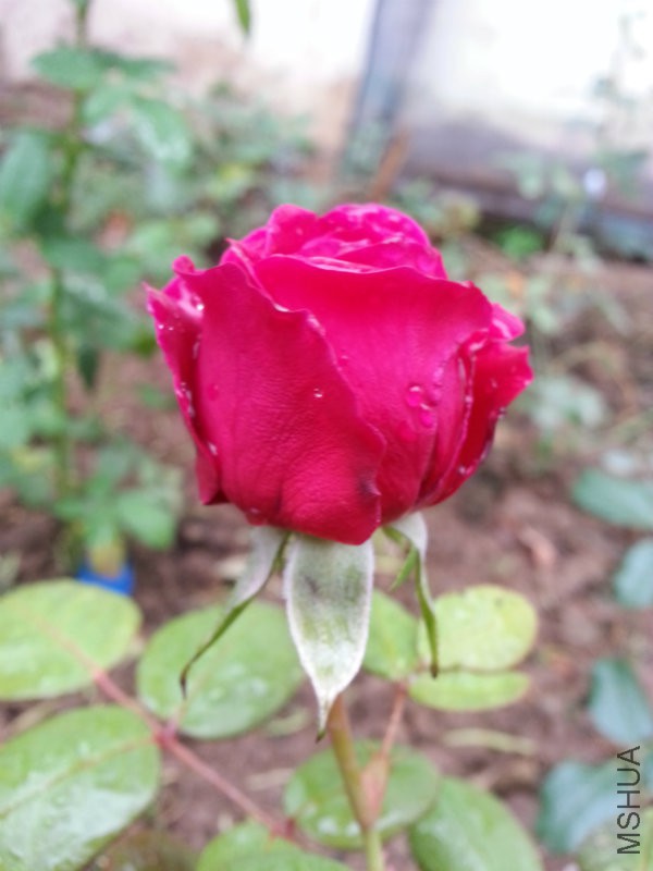 20161015_151330.jpg