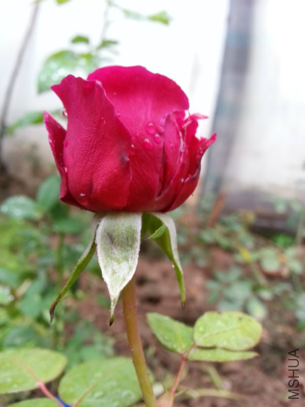 20161015_151340.jpg