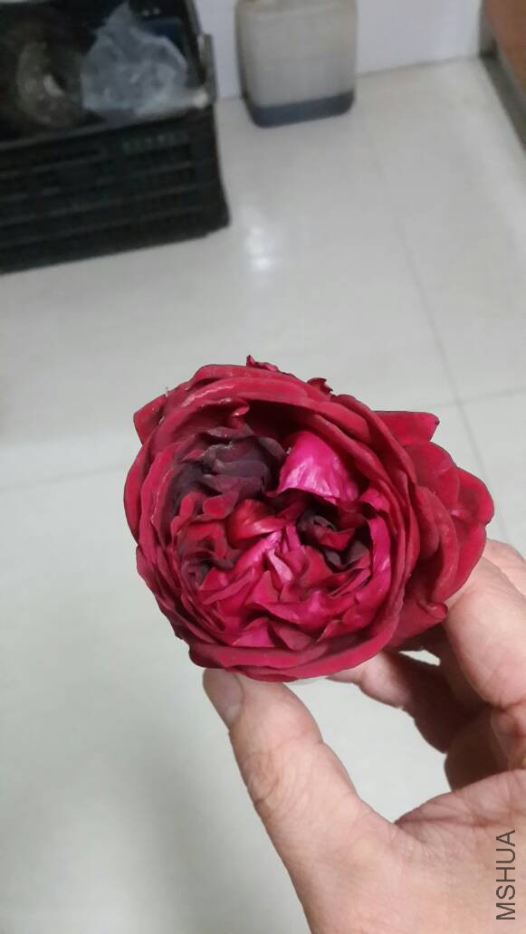 185858keoo0qolyeoclx0l.jpg
