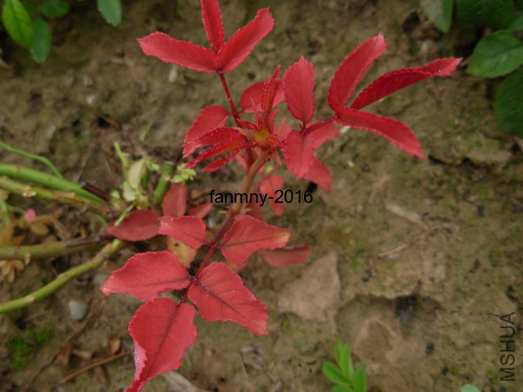 DSCN0587.JPG