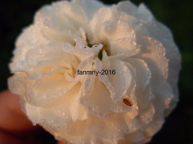 DSCN0771.JPG