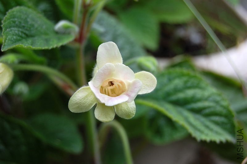 DSC_89080020.JPG
