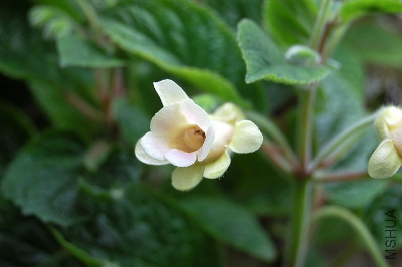 DSC_89000012.JPG