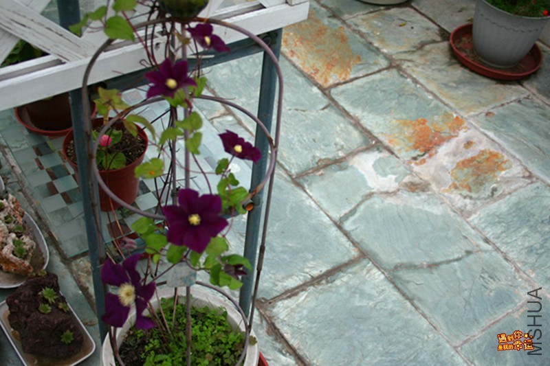 ��Ƭ 084_����.jpg