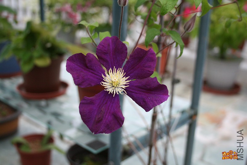 ��Ƭ 087_����.jpg