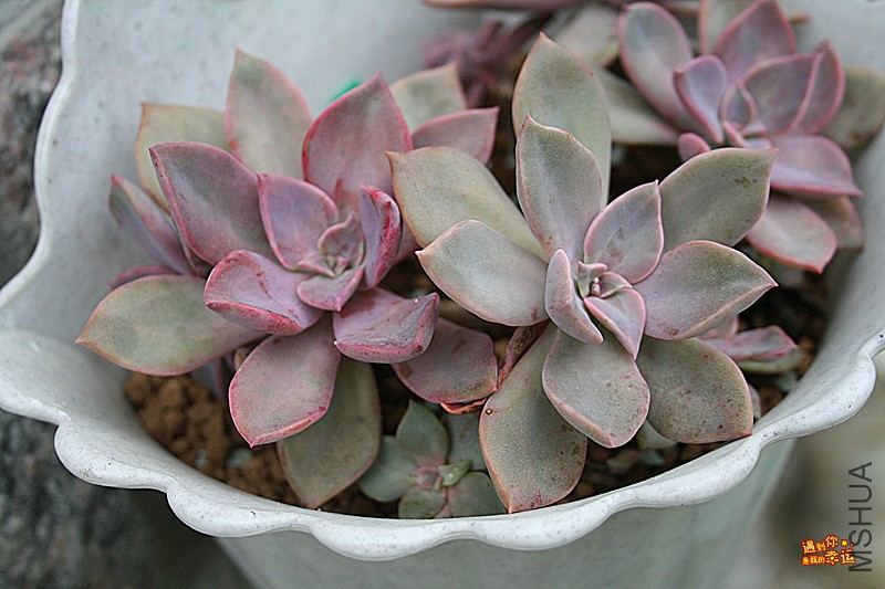 ��Ƭ 052_����.jpg