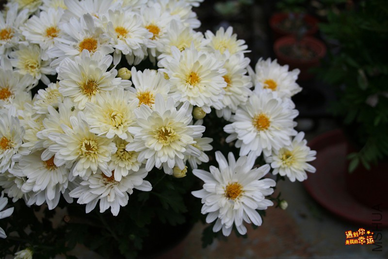 ��Ƭ 006_����.jpg