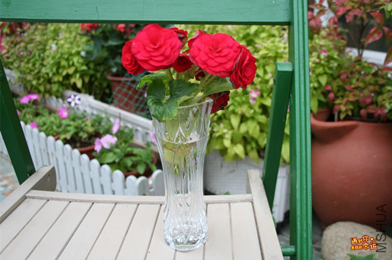 ��Ƭ 061_����.jpg