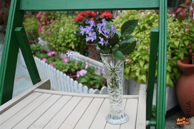 ��Ƭ 062_����.jpg