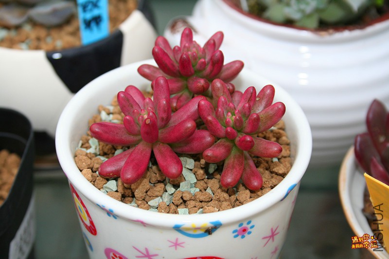 ��Ƭ 073_����.jpg