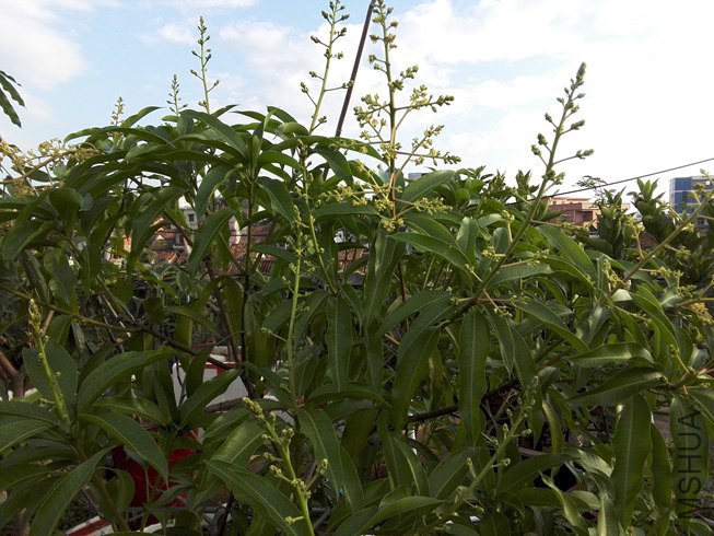 ͼƬ21.jpg