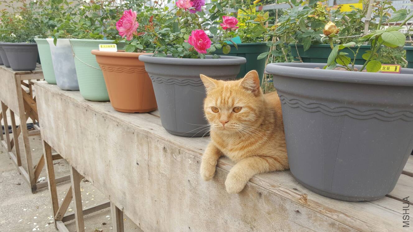 124743iyj19qayoepklnj6.jpg