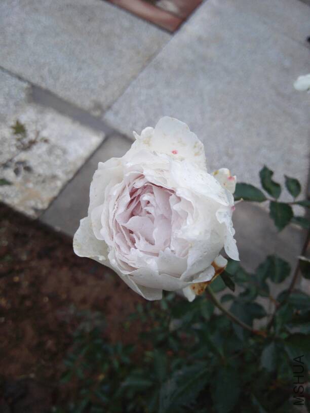 155506u24udrjp4jktajt4.jpg
