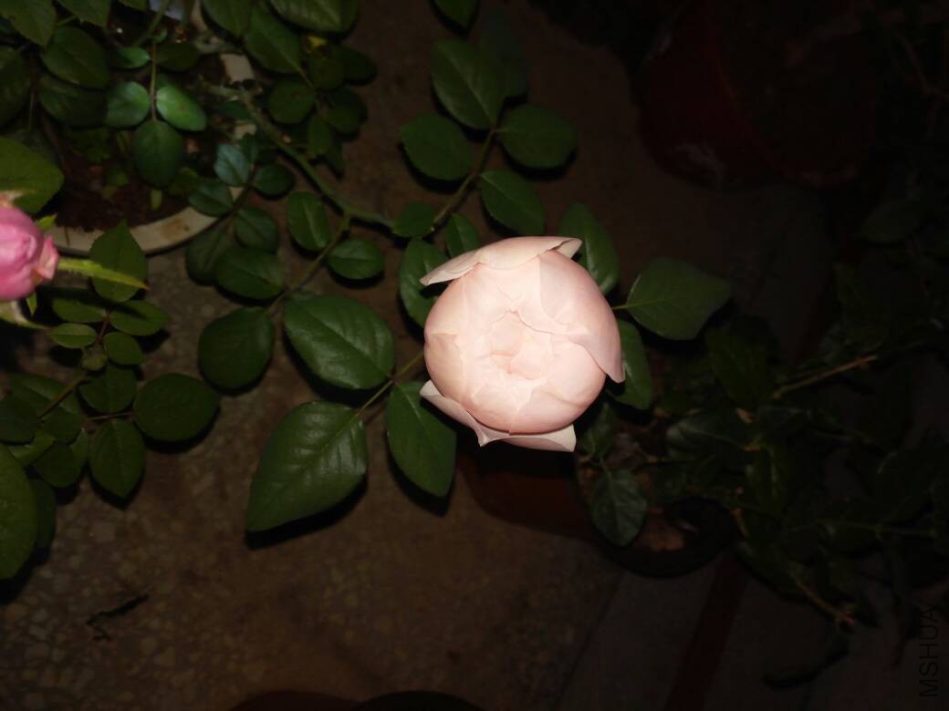 200107nup0mumuq60g0ddp.jpg