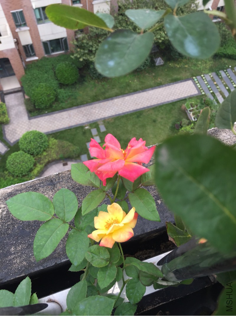 091107lqdlppn63pmqn6xk.jpg
