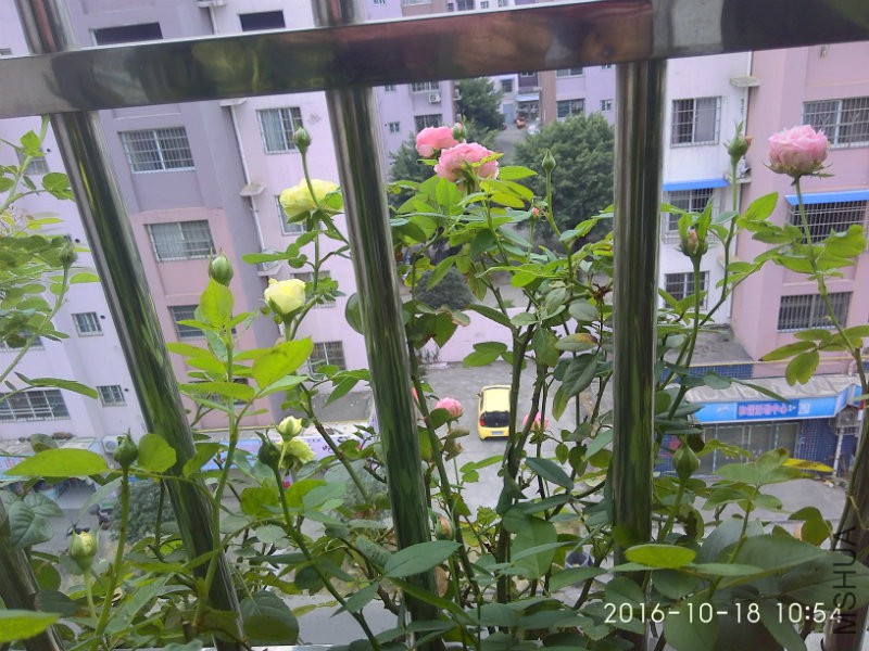 IMG_20161018_105407_HDR.jpg